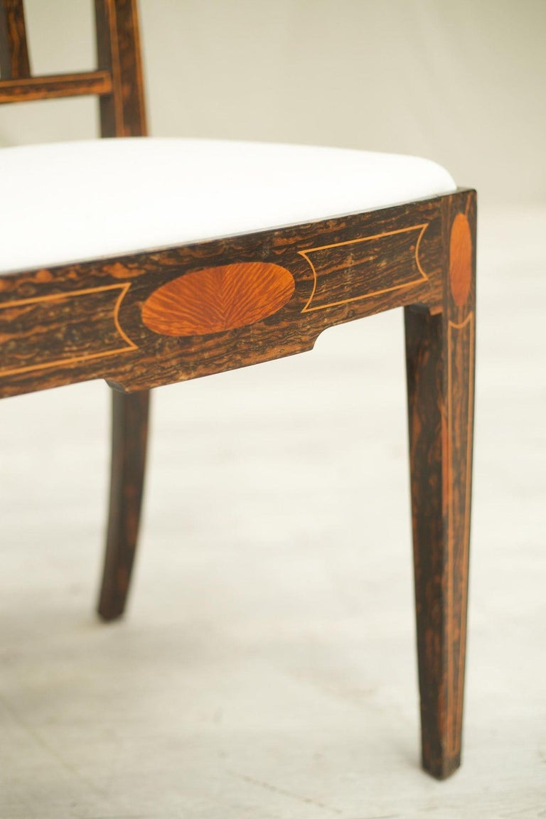 Edwardian Coromandel side chair For Sale at 1stDibs