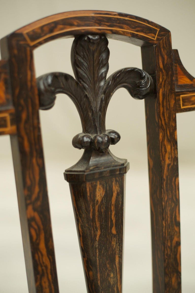 Edwardian Coromandel side chair For Sale at 1stDibs