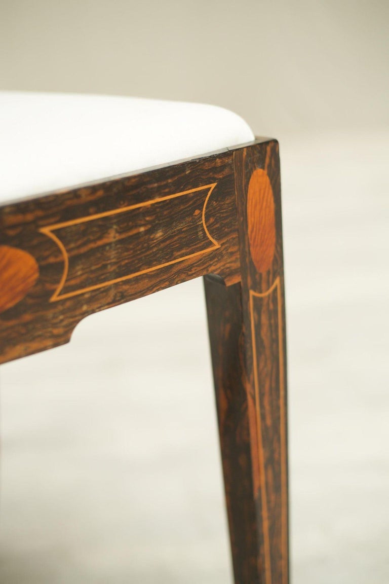 Edwardian Coromandel side chair For Sale at 1stDibs