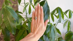 Edwardian Diamond Emerald 18 Karat Rose Gold Navette Dinner Ring