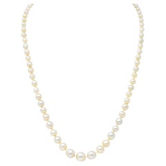 Antique Edwardian Diamond Natural Saltwater Pearl Platinum-Topped 18 Karat Gold Necklace