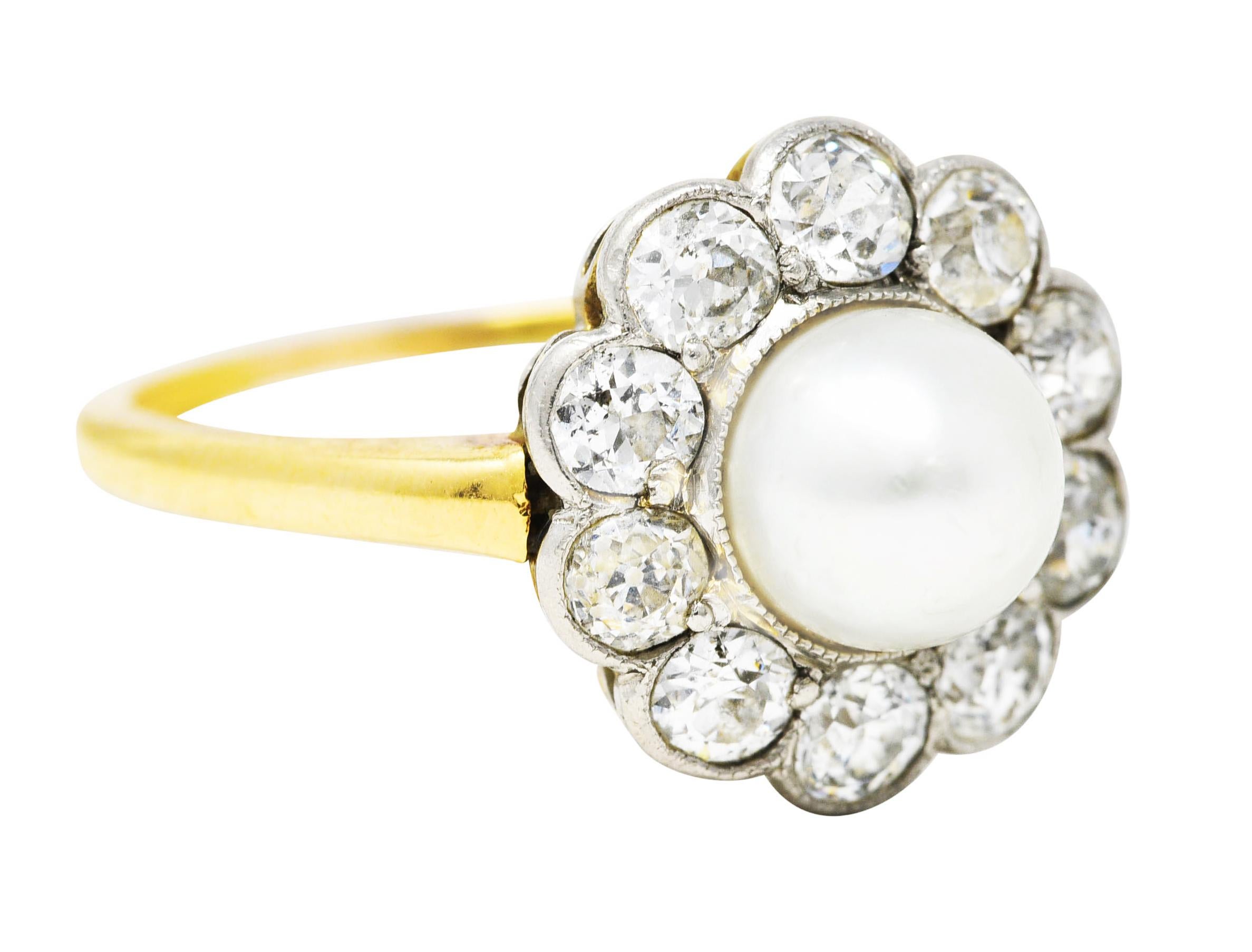 Centering a 7.0 mm round pearl - white in body color with moderate iridescence and good luster. Set in a recessed platinum basket with a bead set old European cut diamond halo surround. Weighing approximately 1.00 carat total - H to J in color with