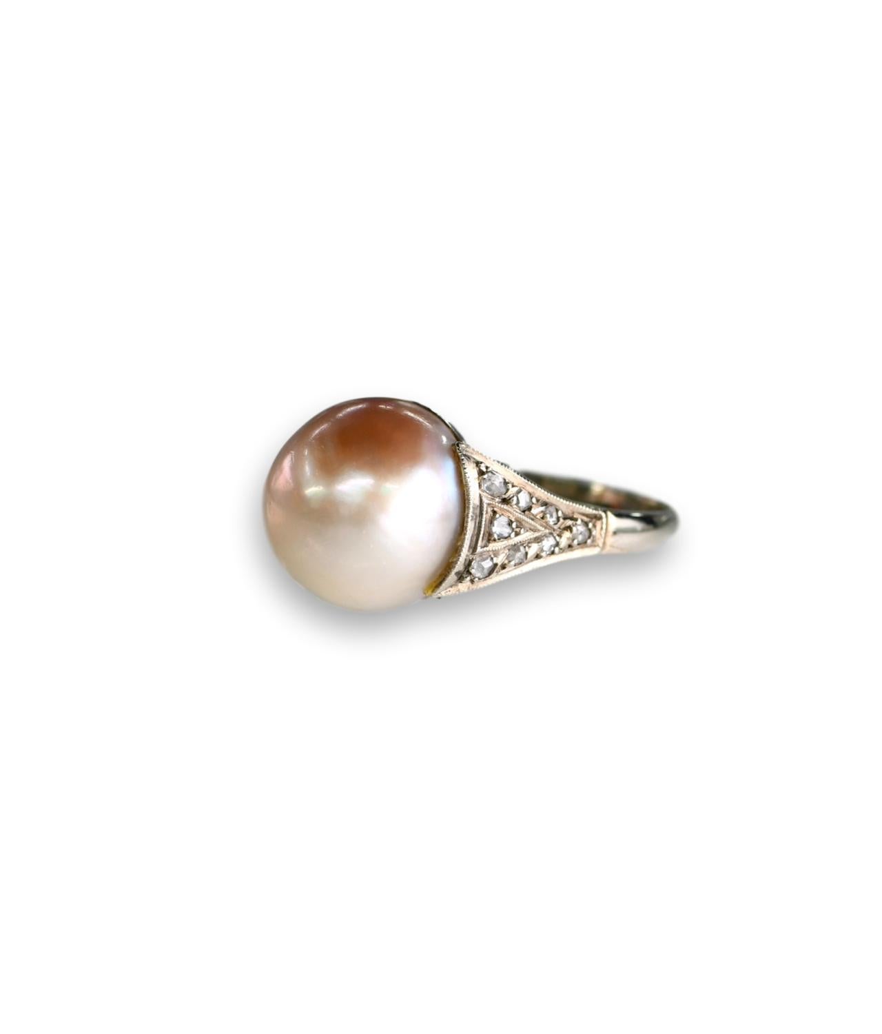 This striking Edwardian ring  features a radiant 12.5mm South Sea pearl which is perfectly offset by the  diamond shoulders. Very charming elegant style,  perfect condition.

Pearl Size: 12.5
Weight: 4.8g
Diamond Weight: 0.5ct