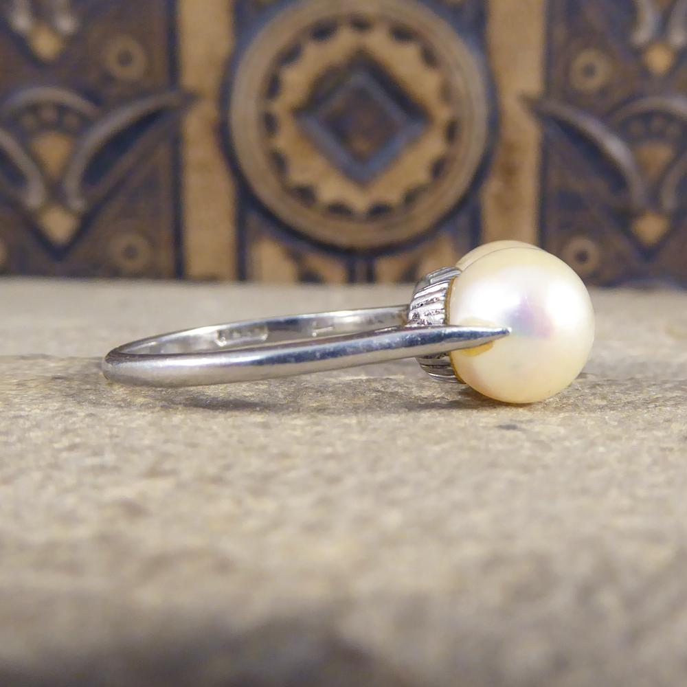 Edwardian Double Cultured Pearl Ring in Platinum In Good Condition In Yorkshire, West Yorkshire