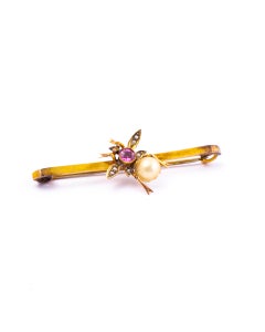Edwardian Gem and Pearl 9 Carat Gold Bug Brooch