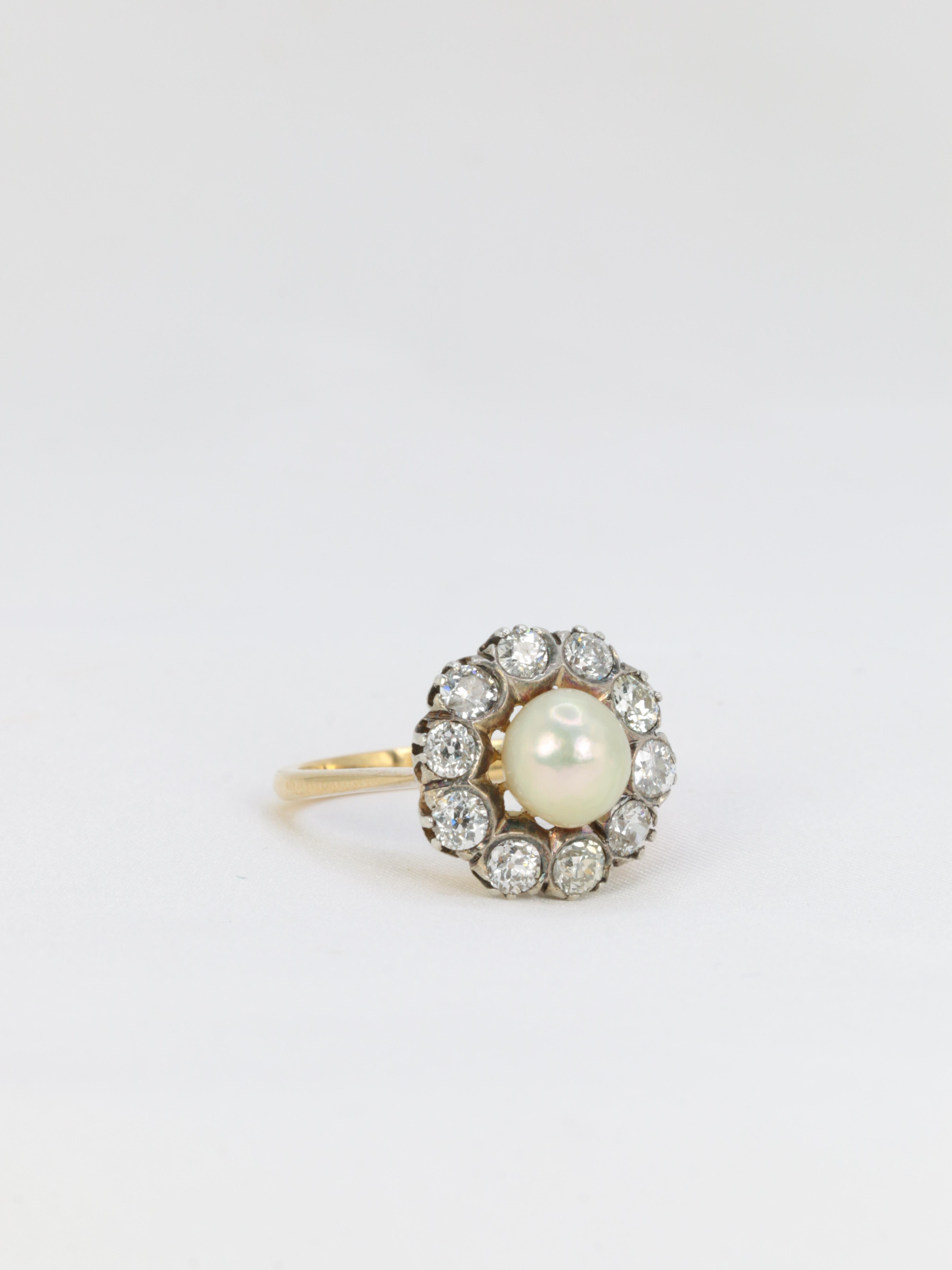 Edwardian Gold and Silver Cluster Ring with Old Mine Cut Diamonds and a Natural In Excellent Condition For Sale In PARIS, FR