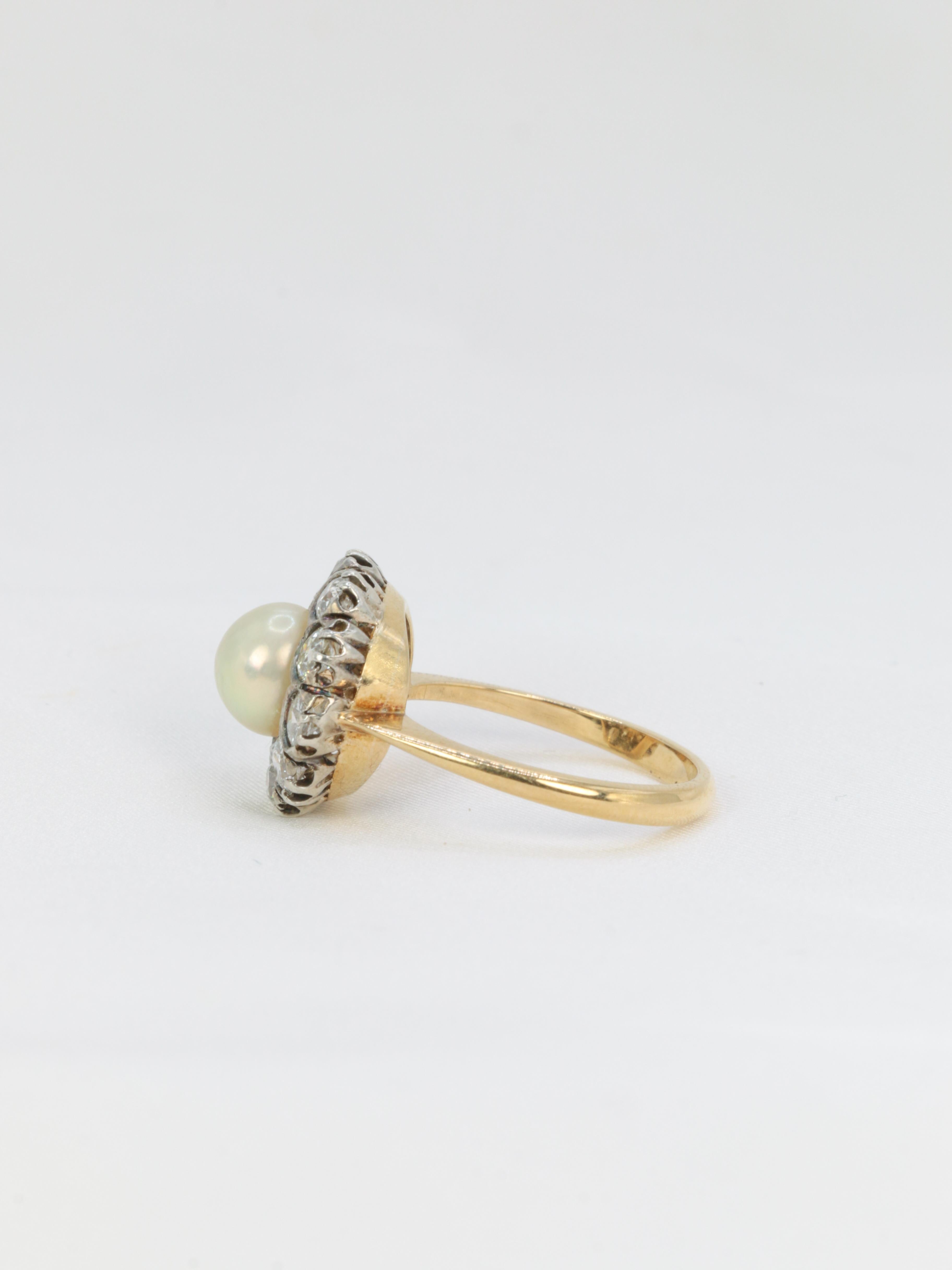 Edwardian Gold and Silver Cluster Ring with Old Mine Cut Diamonds and a Natural For Sale 2