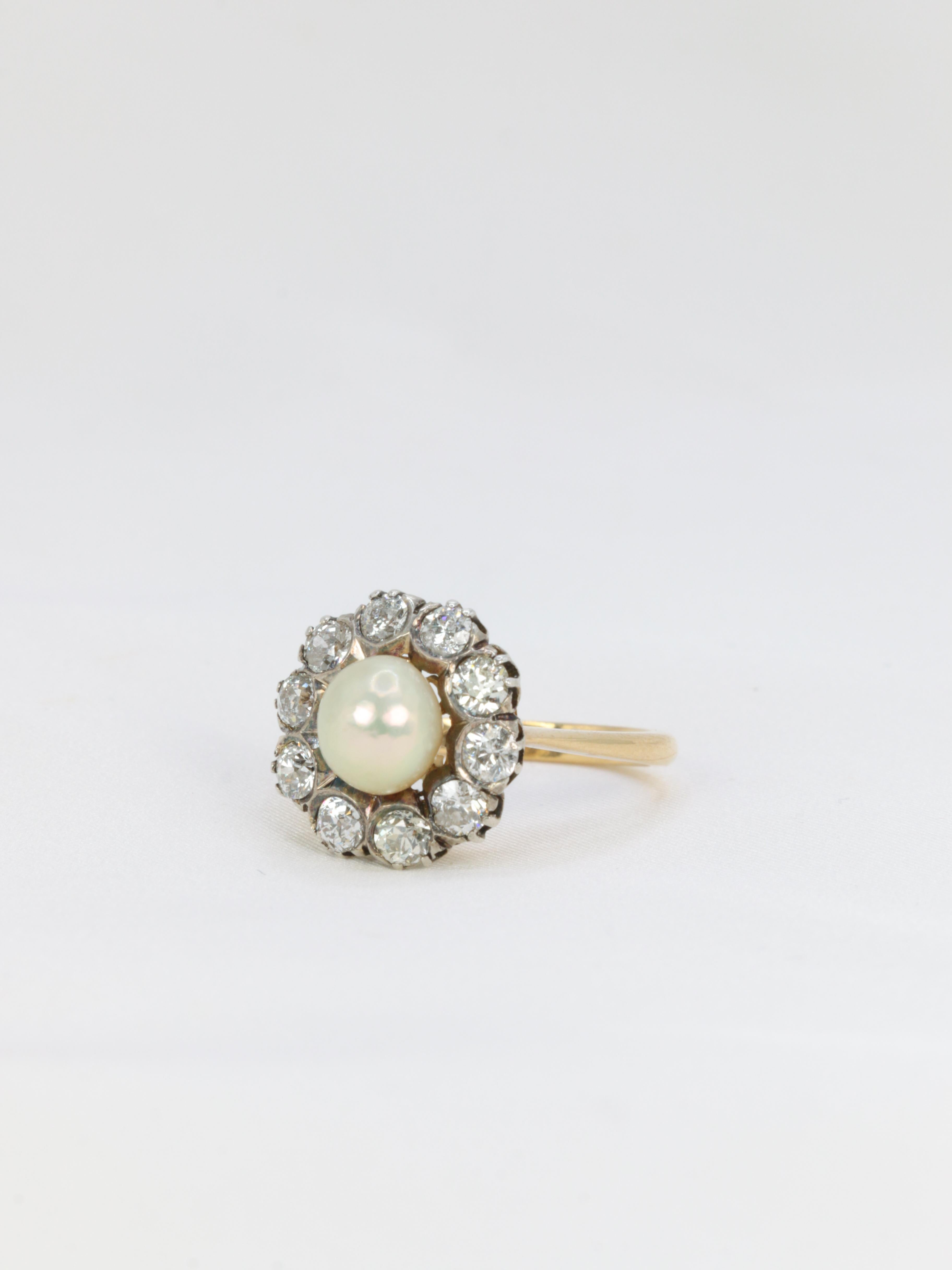 Edwardian Gold and Silver Cluster Ring with Old Mine Cut Diamonds and a Natural For Sale 3