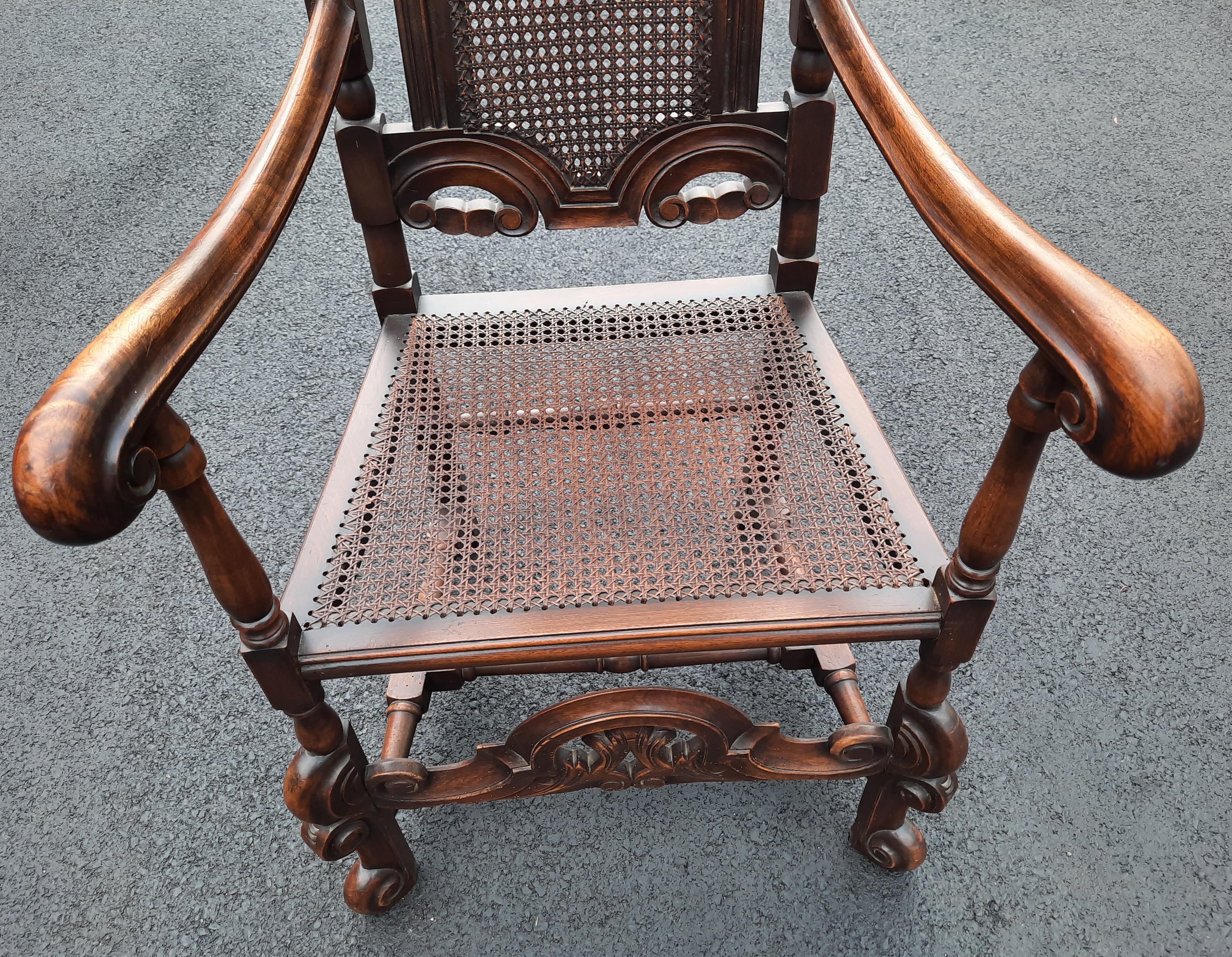 Upholstery Edwardian Hand Carved Oak and Cane Armchair, Circa 1920s For Sale