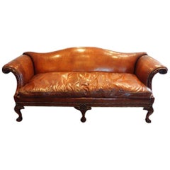 Antique Edwardian mahogany grade 1 leather camel back sofa, Circa 1910