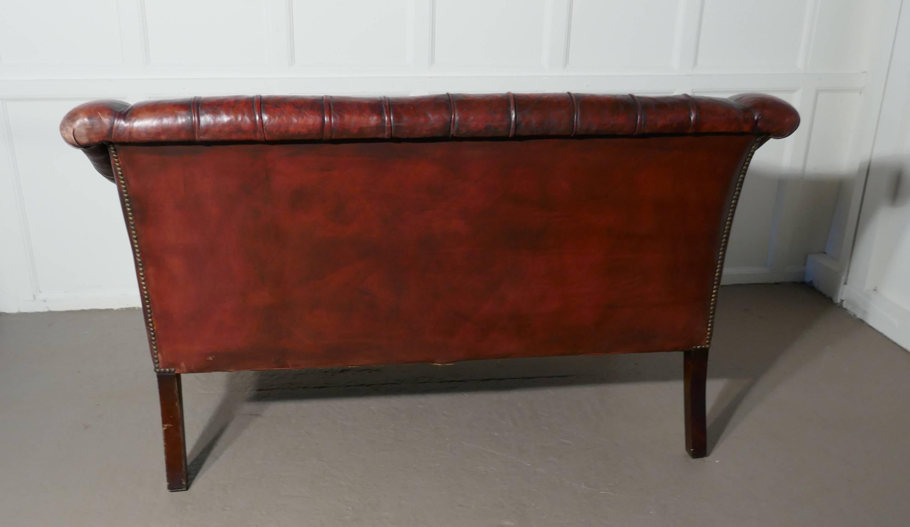 Edwardian Leather Two-Seat Library Chesterfield Settee 3