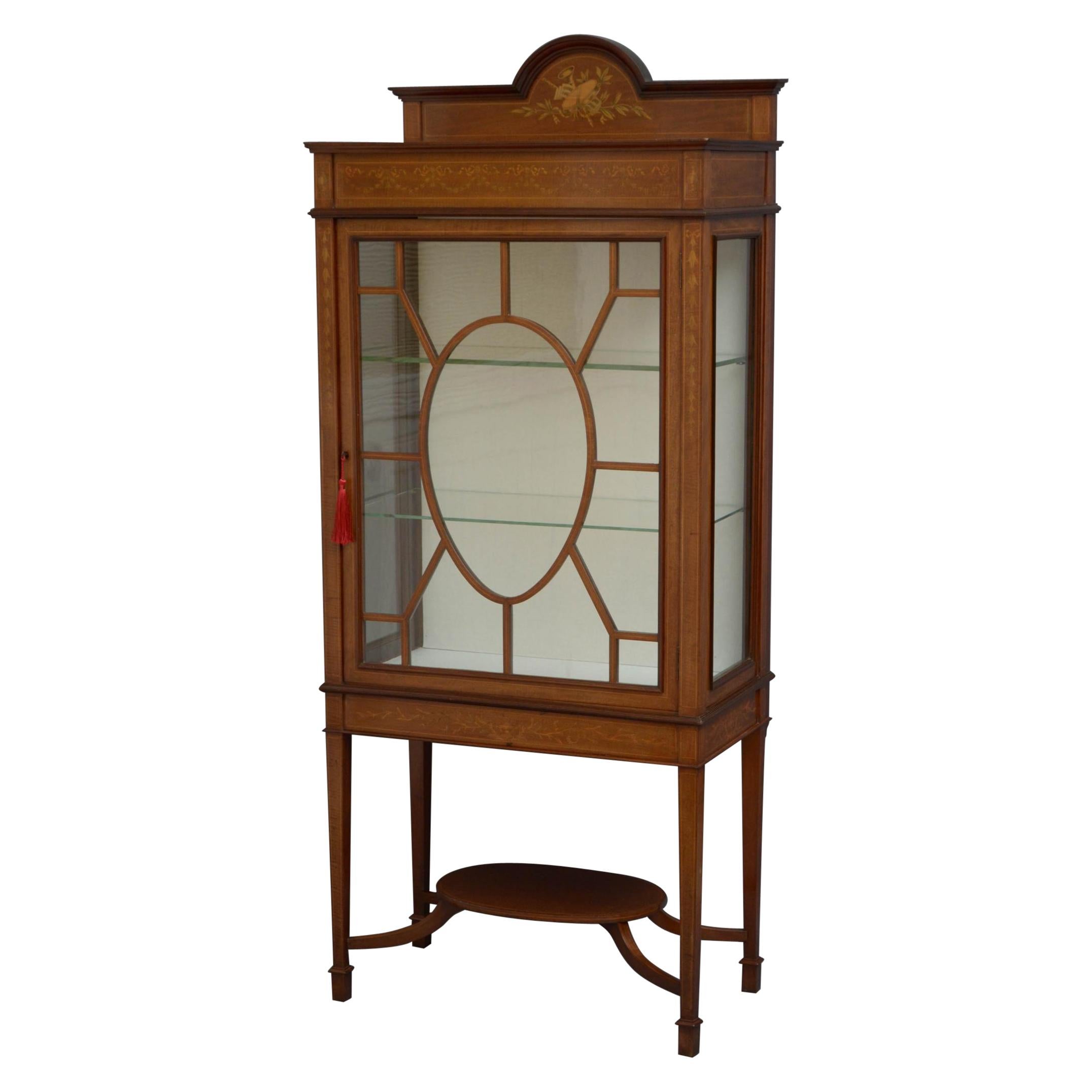Large Edwardian Mahogany Collector's For Sale at 1stDibs