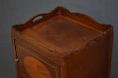 Edwardian Mahogany Bedside Cabinet, Pot Cupboard