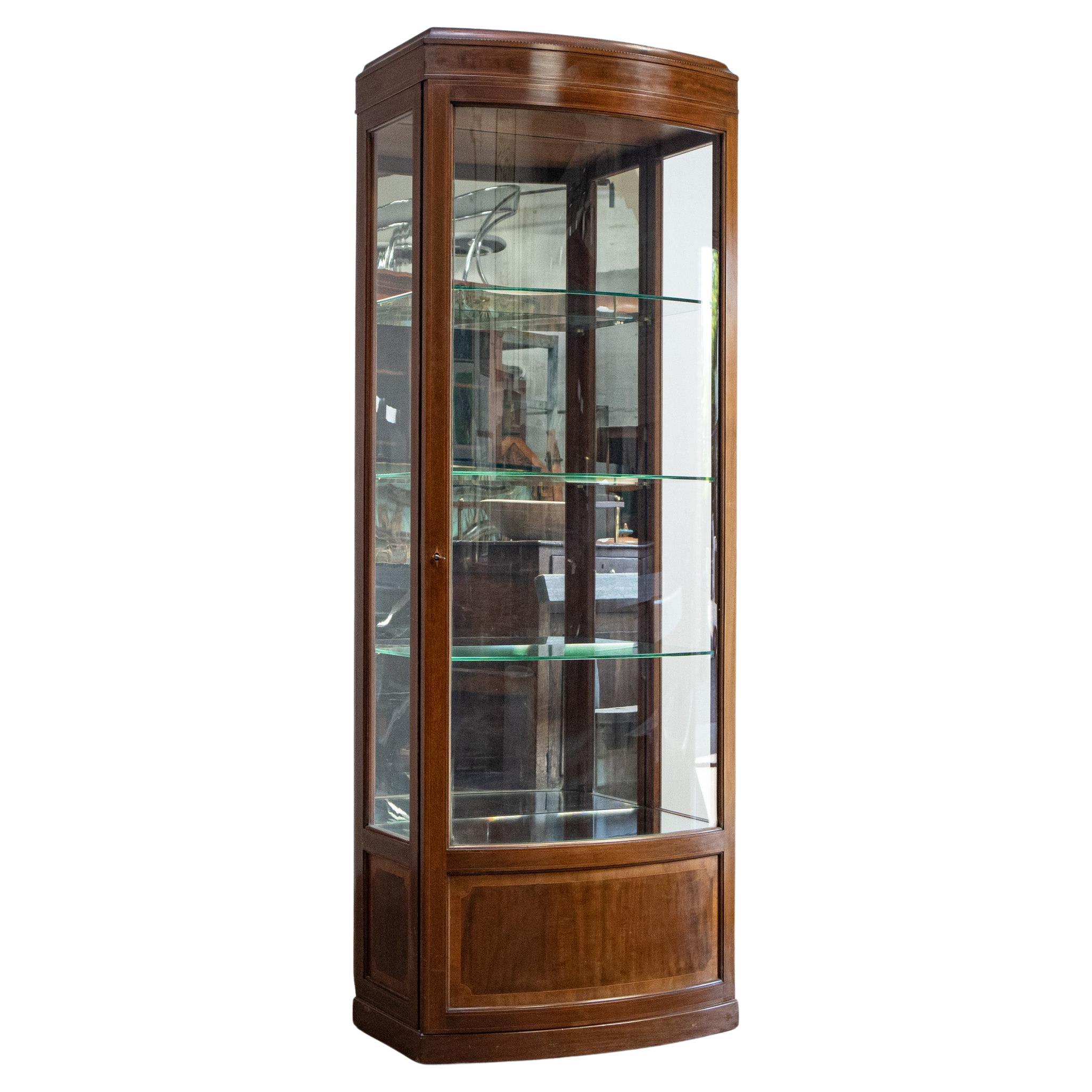 Edwardian Mahogany Bow Front Shop Cabinet with Satinwood Stringing For Sale