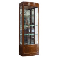 Shop-Schrank aus edwardianischem Mahagoni mit Bogenfront und Streifen aus Seidenholz