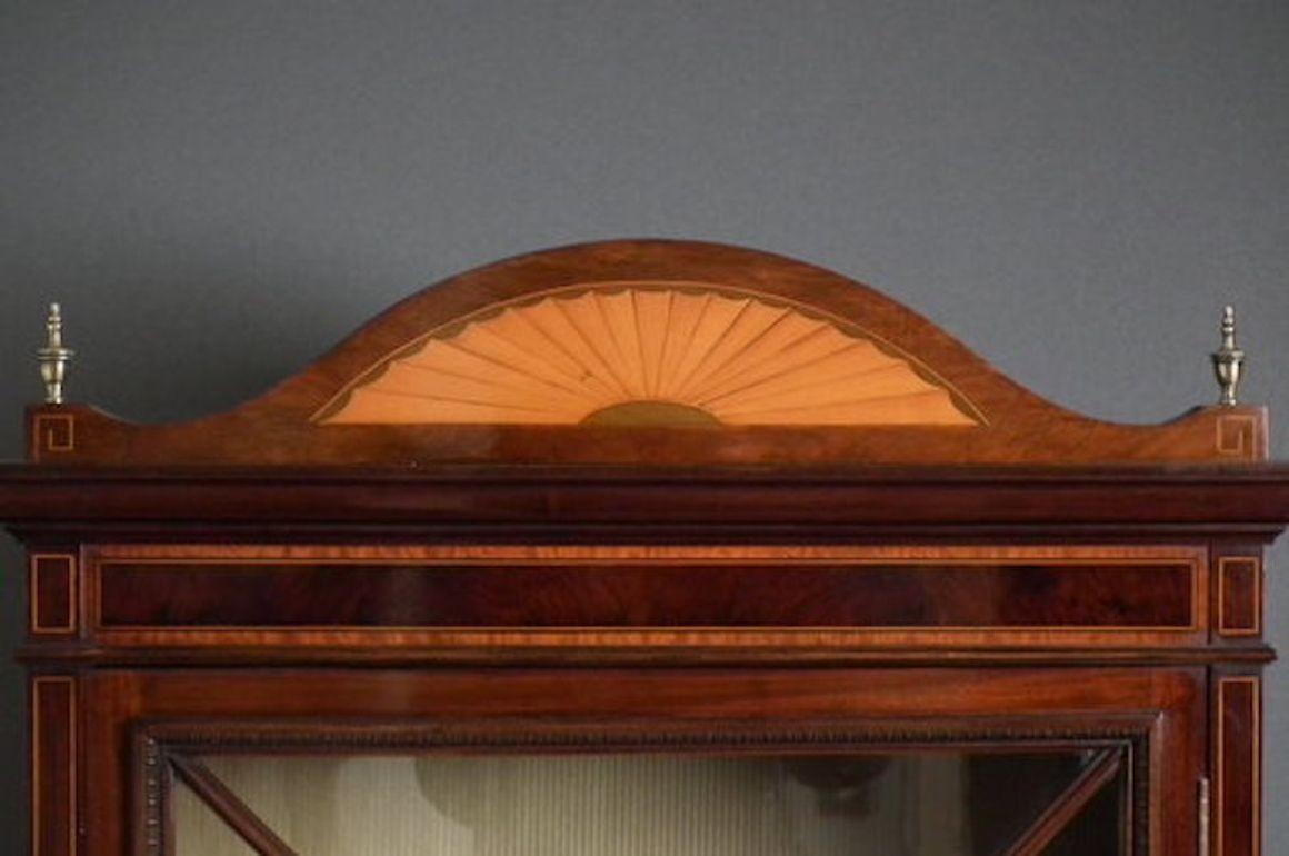 English Edwardian Mahogany Display Cabinet For Sale