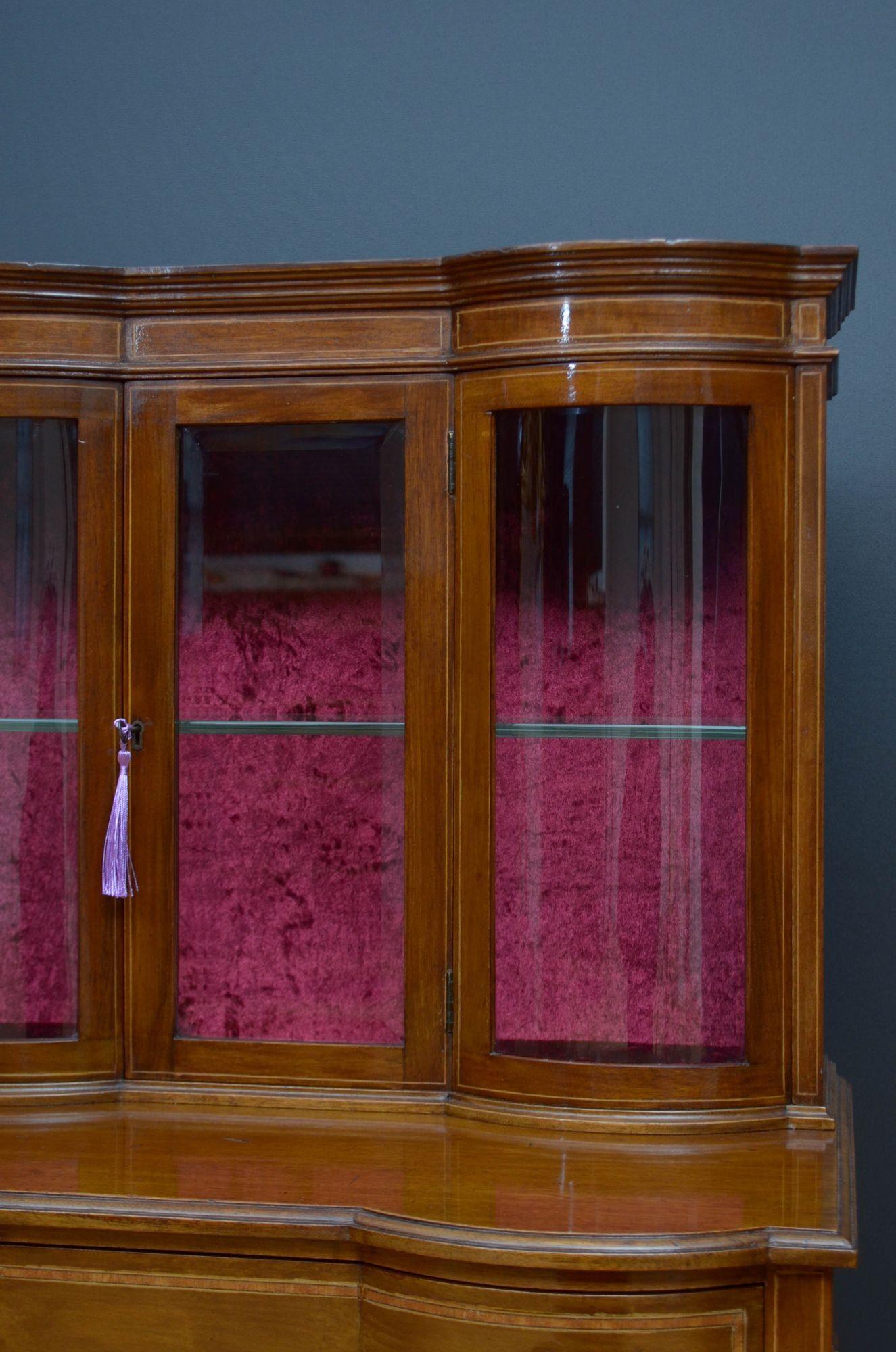 Edwardian Mahogany Display Cabinet Vitrine For Sale 3