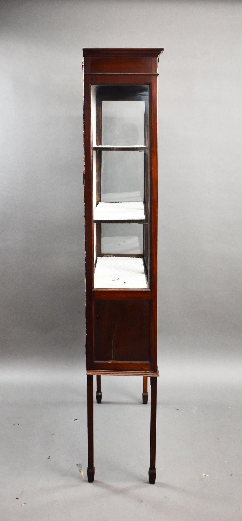 20th Century Edwardian Mahogany Hand Painted China Cabinet For Sale