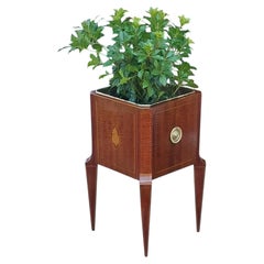 Edwardian Mahogany Jardiniere