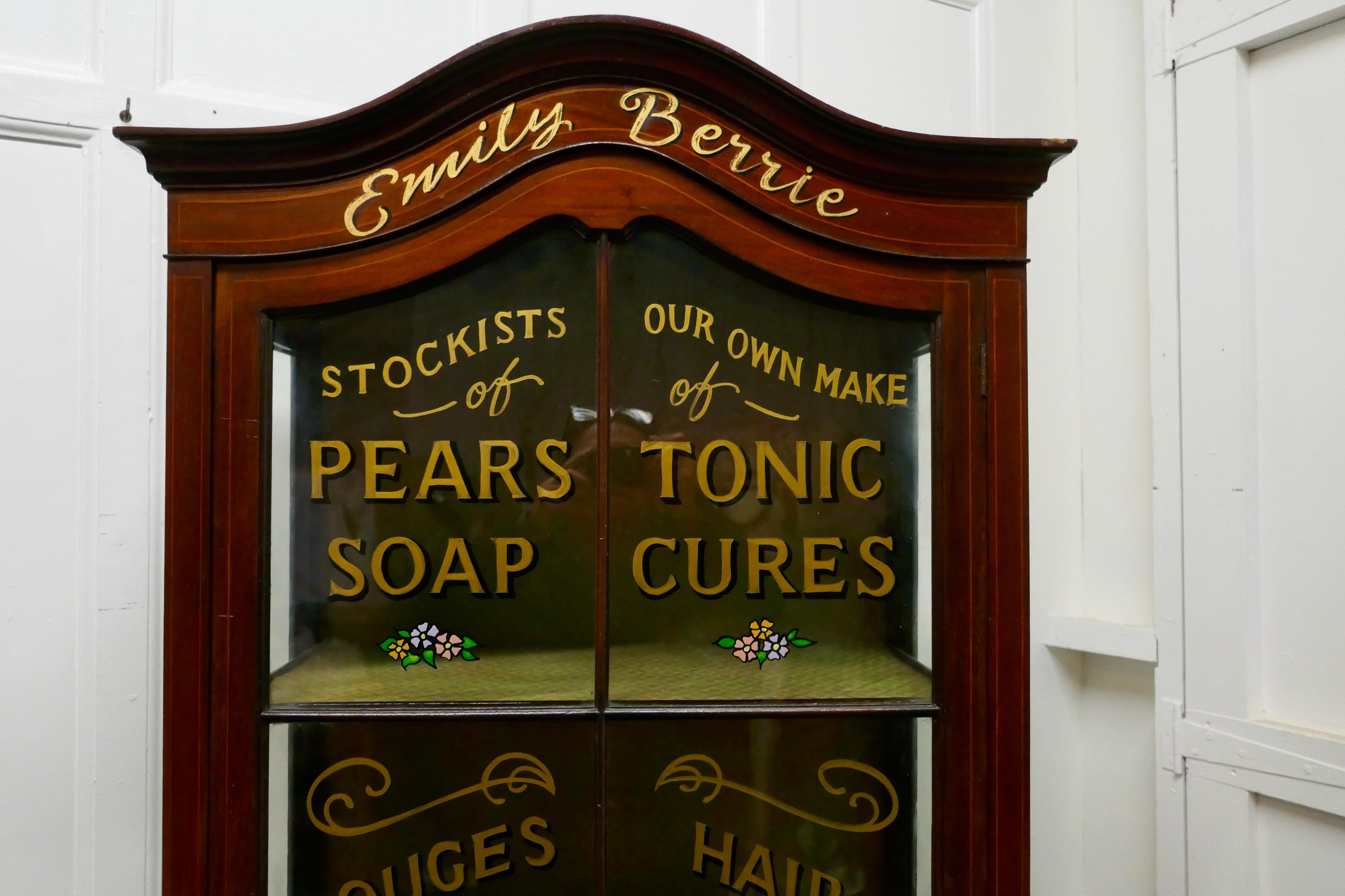 20th Century Edwardian Mahogany Sign Painted Perfumery Cupboard