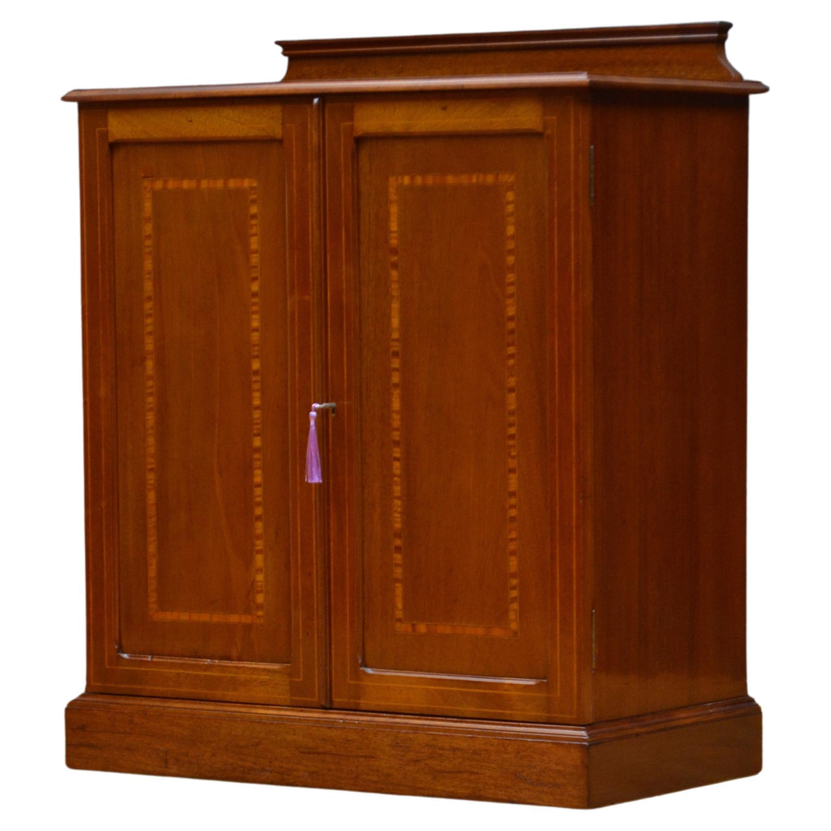Edwardian Mahogany Two Door Cabinet For Sale