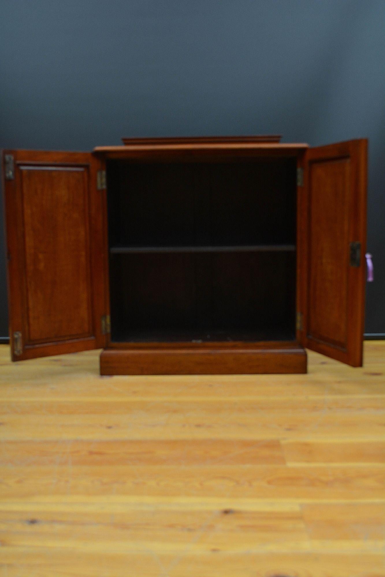 Edwardian Mahogany Two Door Cabinet Low For Sale 6