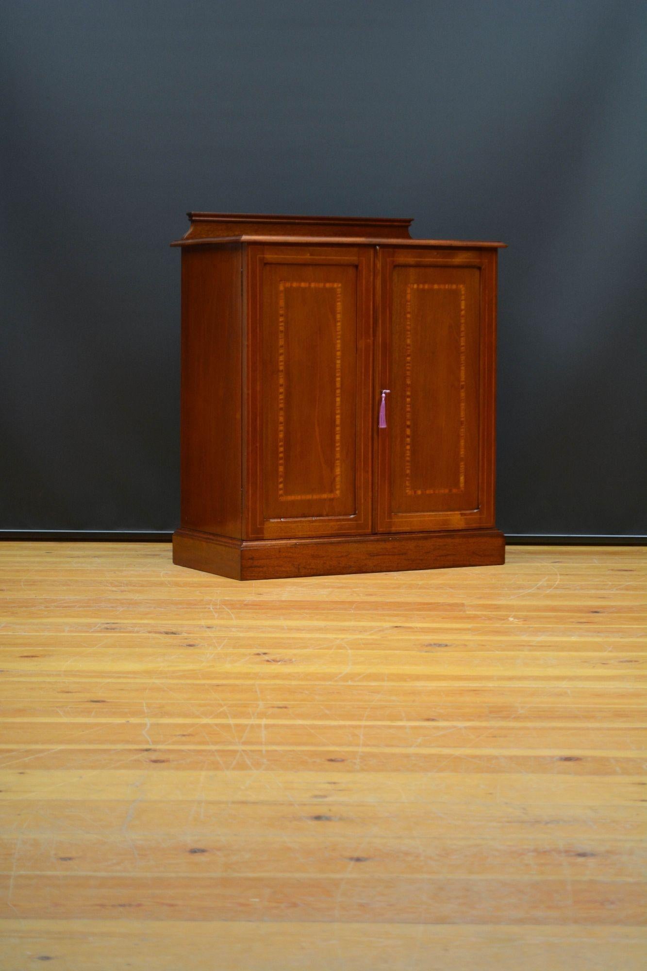 English Edwardian Mahogany Two Door Cabinet Low For Sale