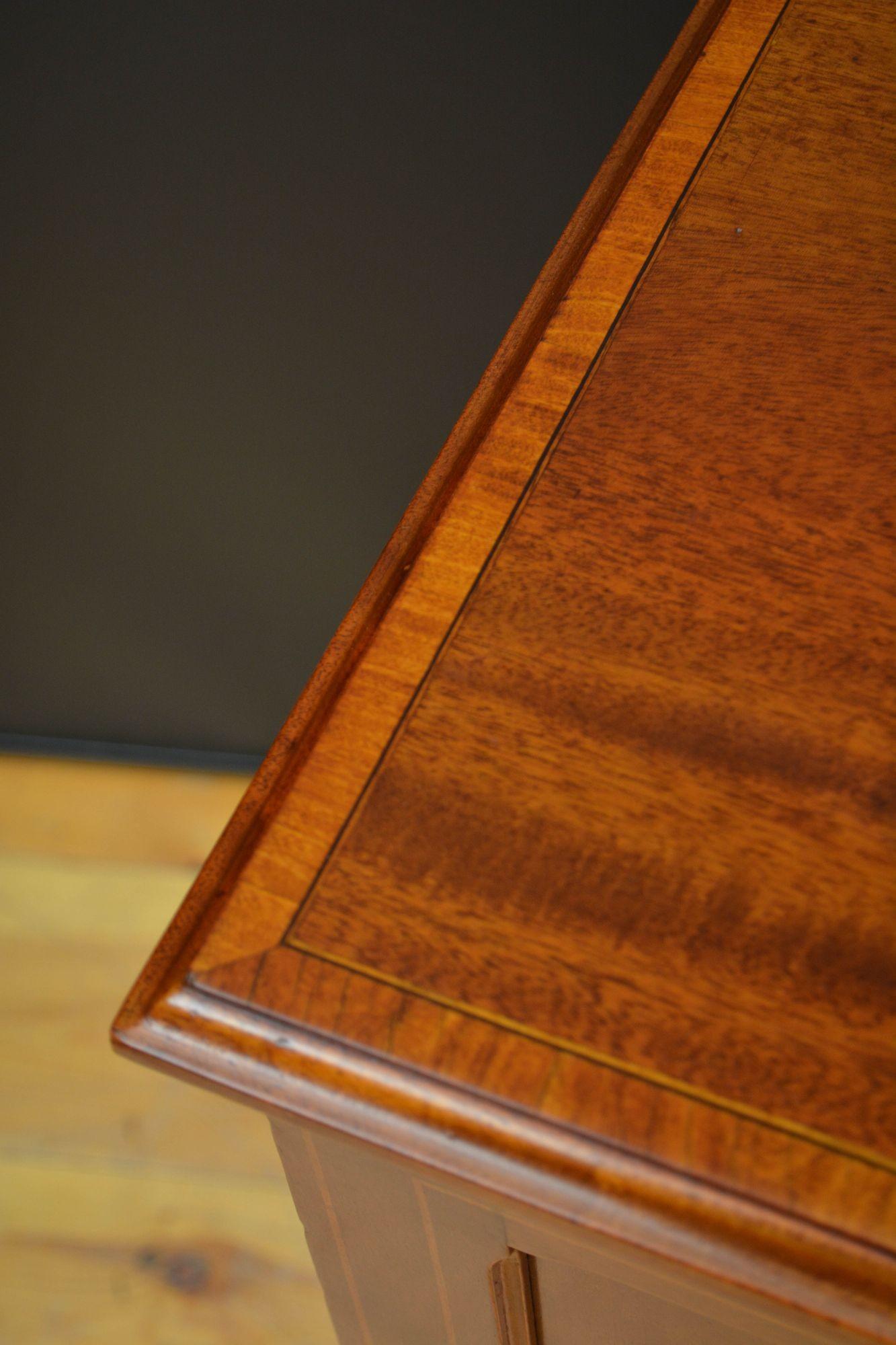 Edwardian Mahogany Two Door Cabinet Low For Sale 2