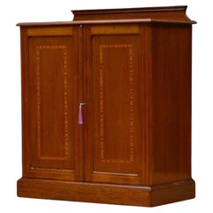 Antique Edwardian Mahogany Two Door Cabinet Low