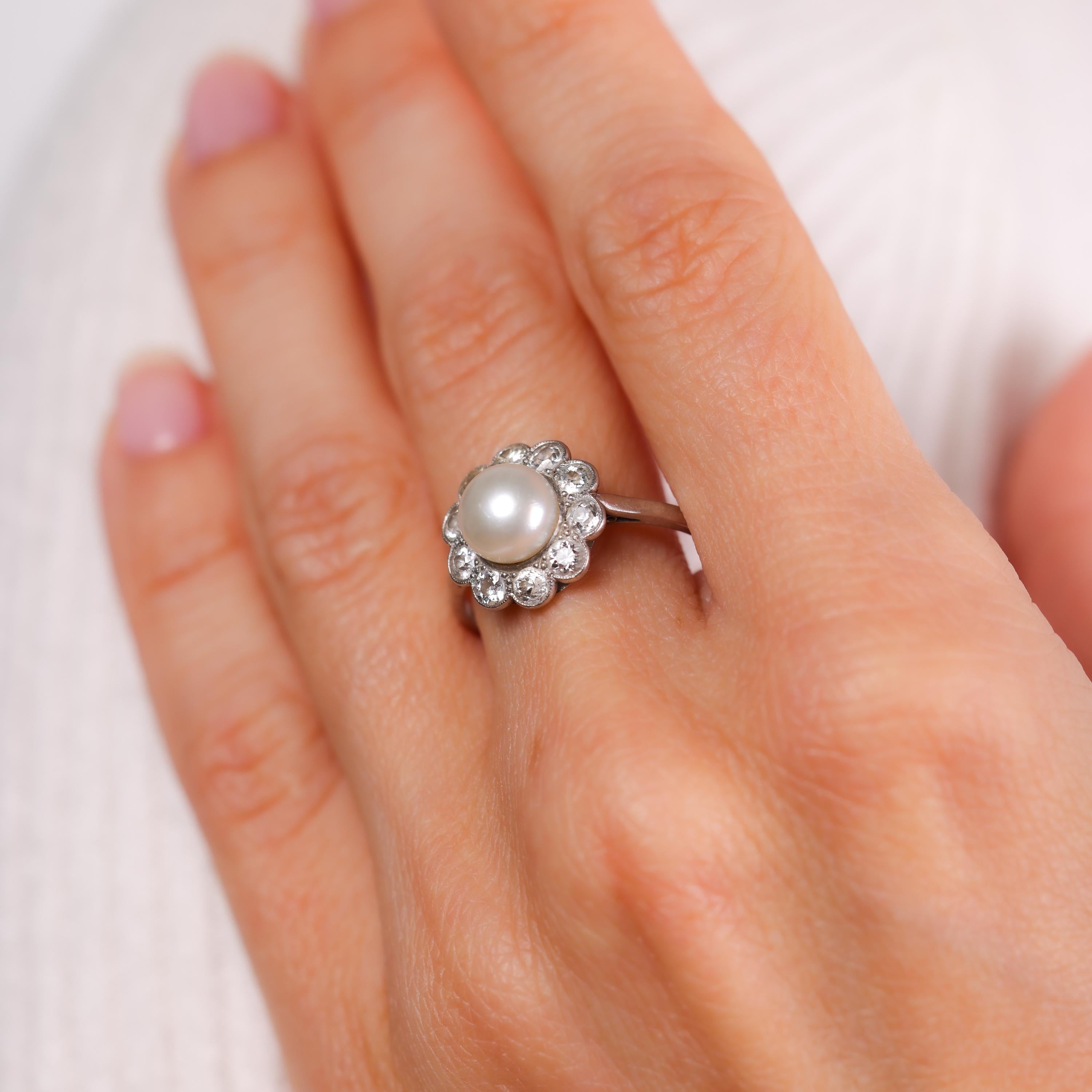 Dieser edwardianische Platinring mit einer leuchtenden natürlichen Salzwasserperle, umgeben von funkelnden Diamanten im Minenschliff, bietet zeitlose Eleganz und aufwändige Handwerkskunst von 1915.

Mittelstein: Natürliche Salzwasserperle
Größe: