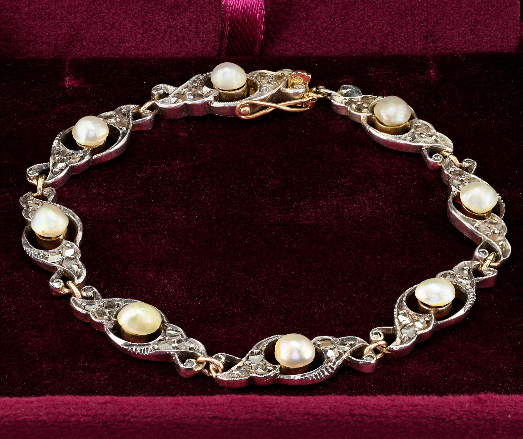 This charming antique bracelet is Edwardian period, circa1905
Hand crafted of solid 18 KT yellow gold topped by silver
Charming scroll openwork link design typical of the era, surmounted by a selection of 8 natural not nucleated salt water Pearls