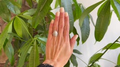 Edwardian Old European Cut Diamonds Platinum Filigree Navette Dinner Ring