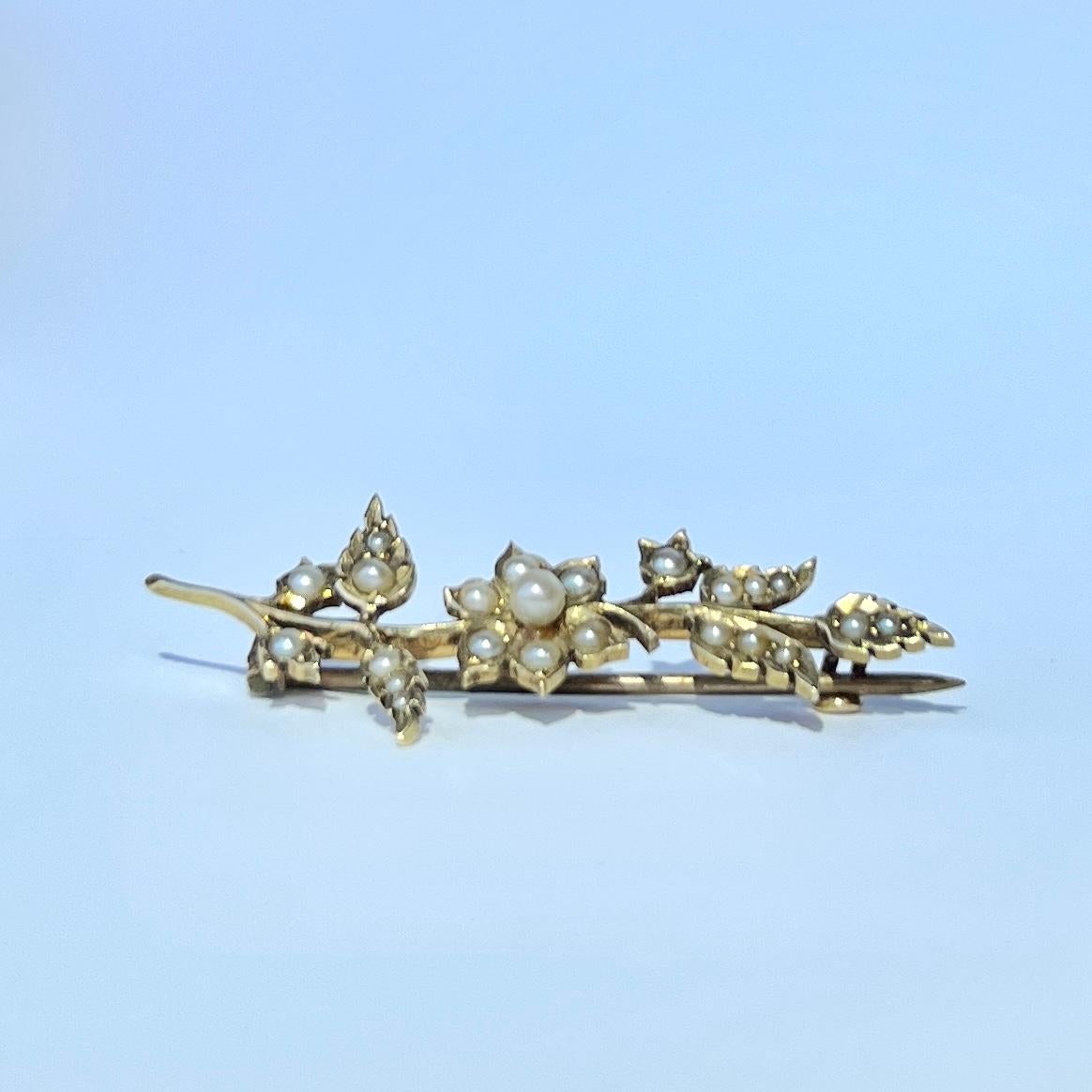 Edwardian Pearl and 9 Carat Gold Flower Brooch In Good Condition For Sale In Chipping Campden, GB