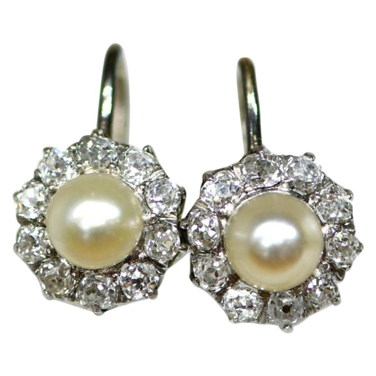 Edwardian Pearl Diamond Cluster Earrings