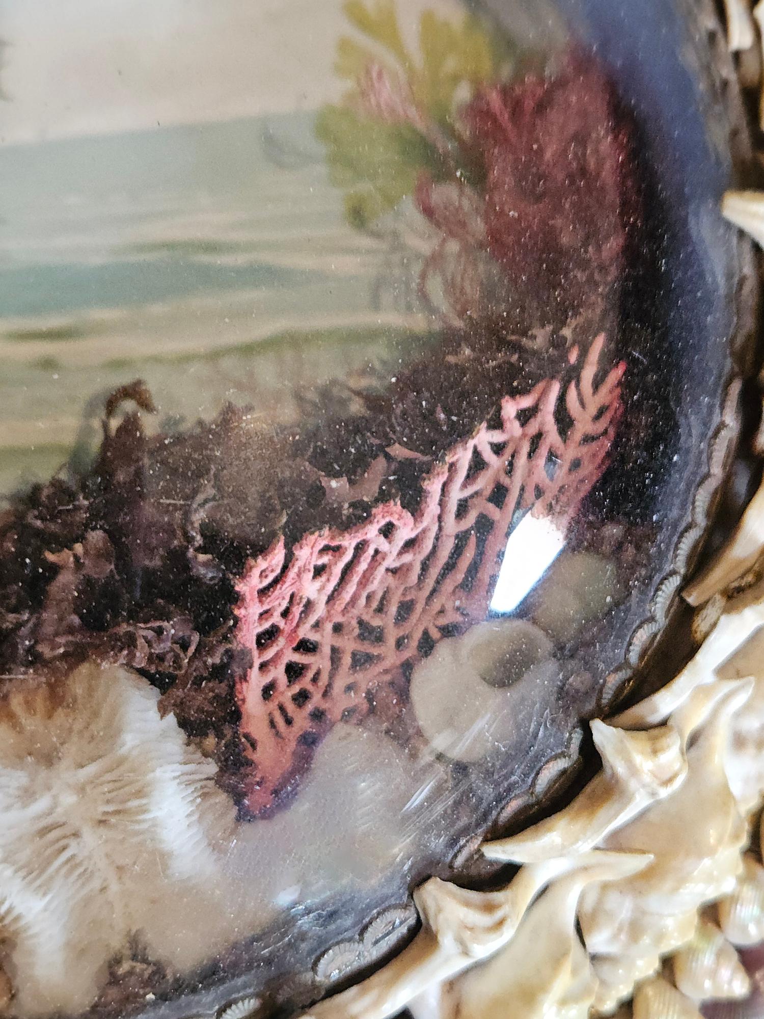 Edwardian Shellwork Valentine Diorama eines Schiffes im Angebot 2