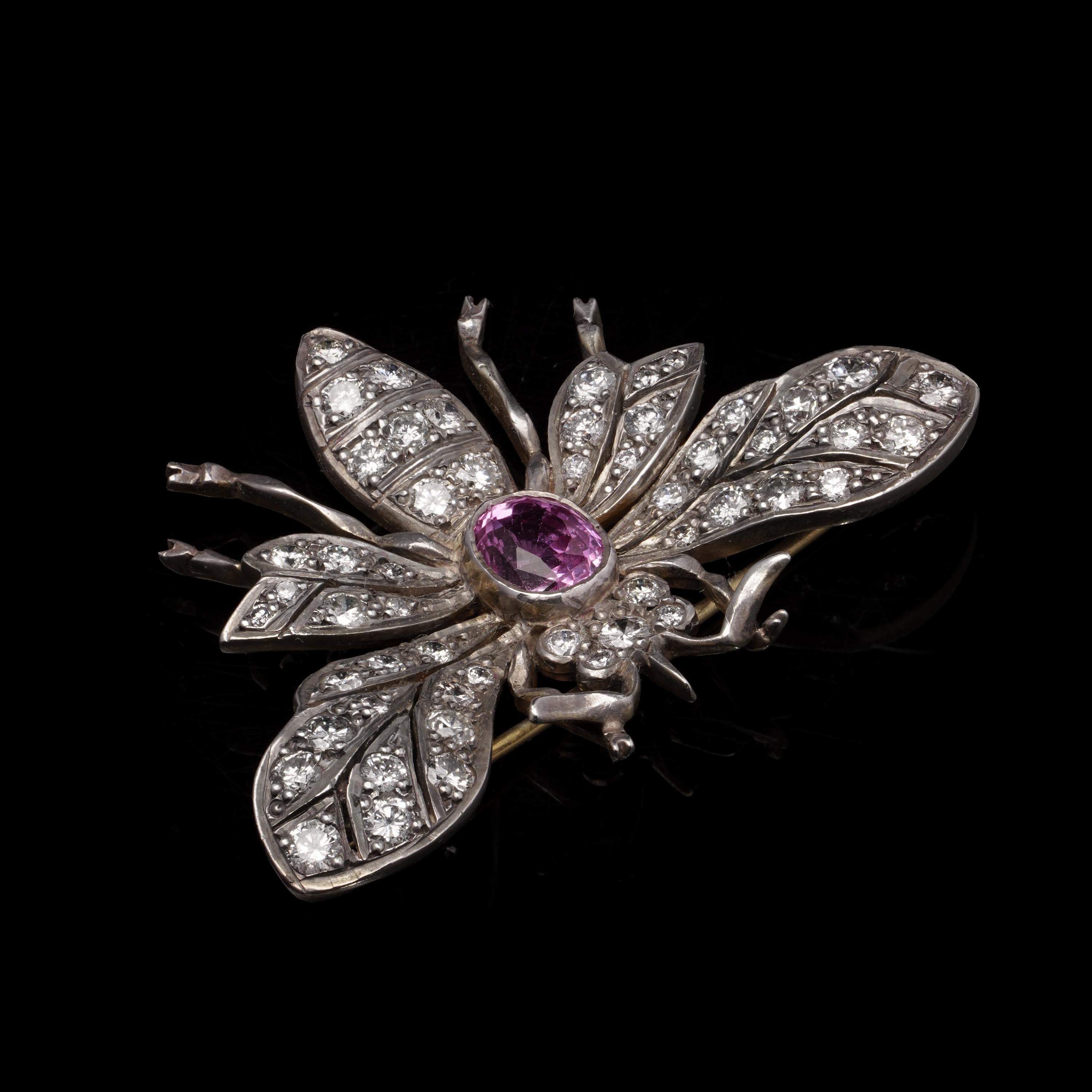Women's or Men's Edwardian Silver and Gold Pink Sapphire and Diamond Insect Brooch For Sale