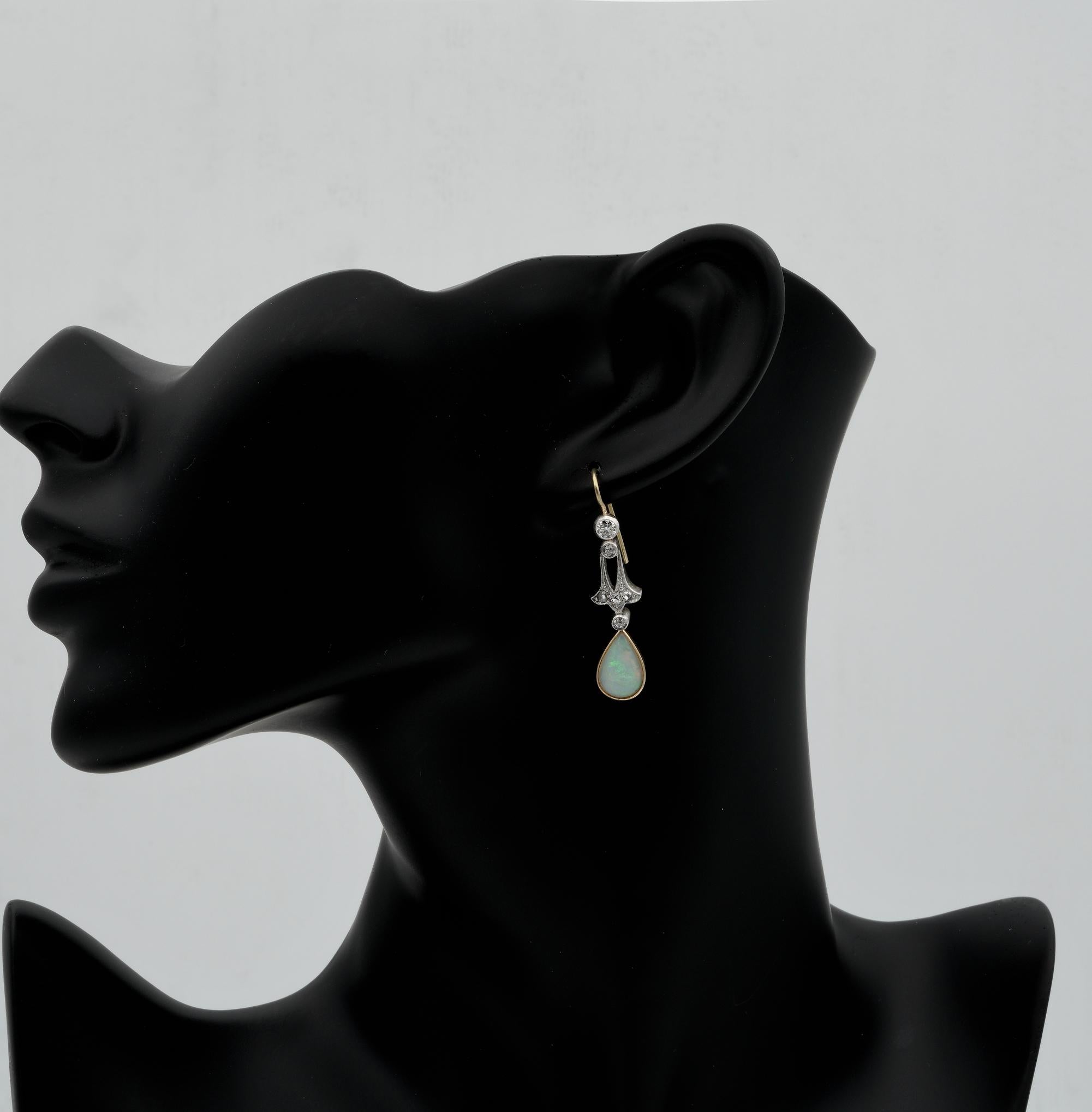 Edwardian Solid Opal Diamond Silver on Gold Drop Earrings For Sale 1