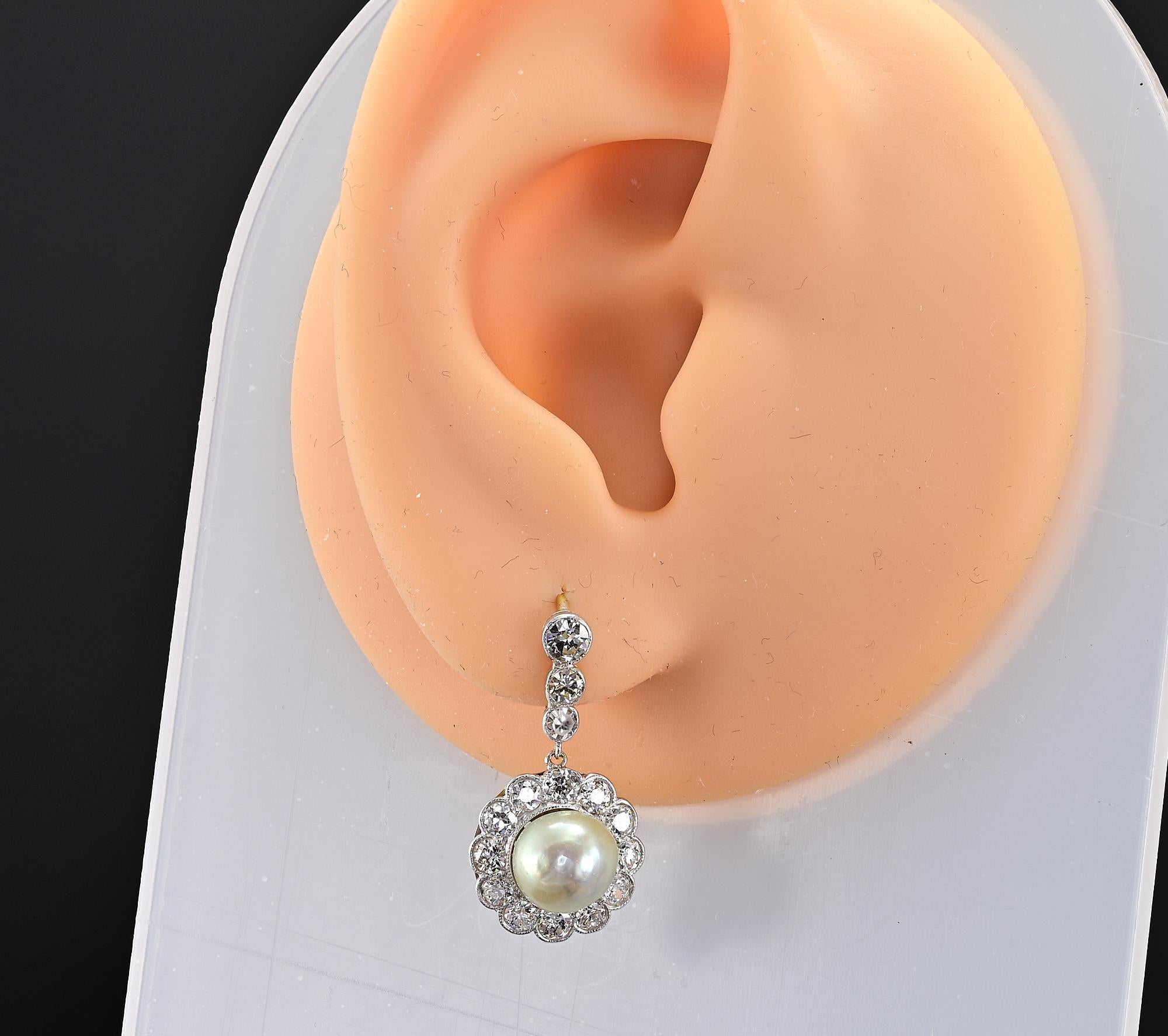 Edwardian Sweet 2.50 Ct Diamond 7.2 mm. Pearl Drop earrings  For Sale 1