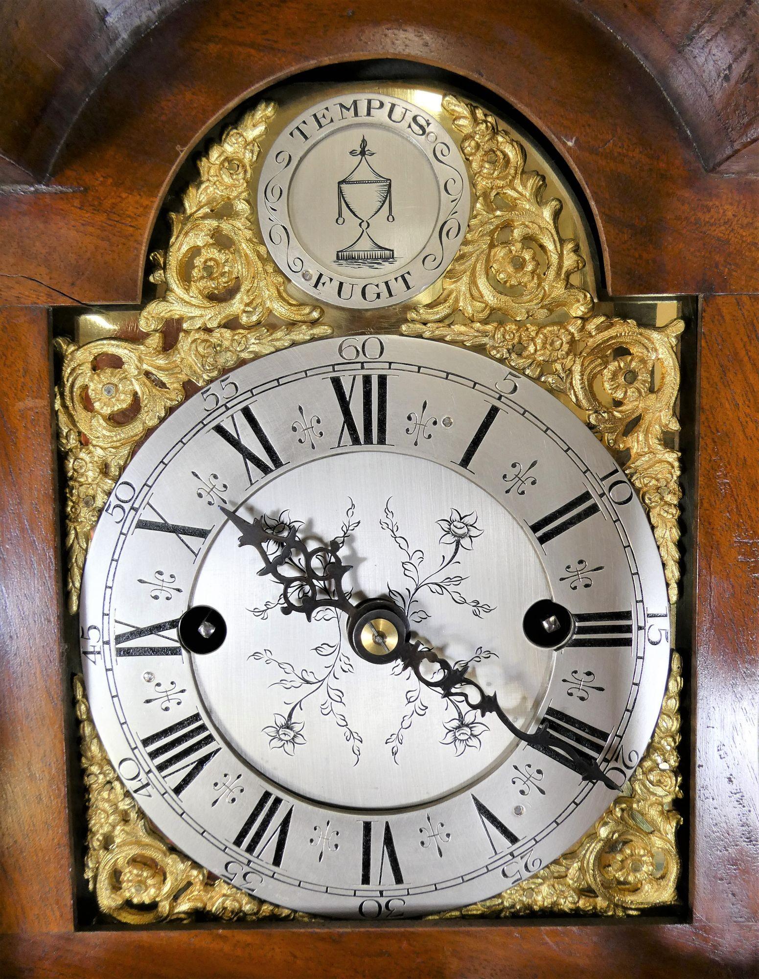 Edwardian Walnuss Gewicht angetrieben Großmutter Uhr (Frühes 20. Jahrhundert) im Angebot