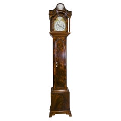 Edwardian Walnut Weight Driven Grandmother Clock
