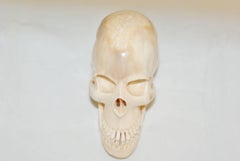 Edwardian Walrus Tusk Skull Walking Stick Handle