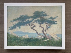 Monterey Bay cypress tree California Impressionist landscape