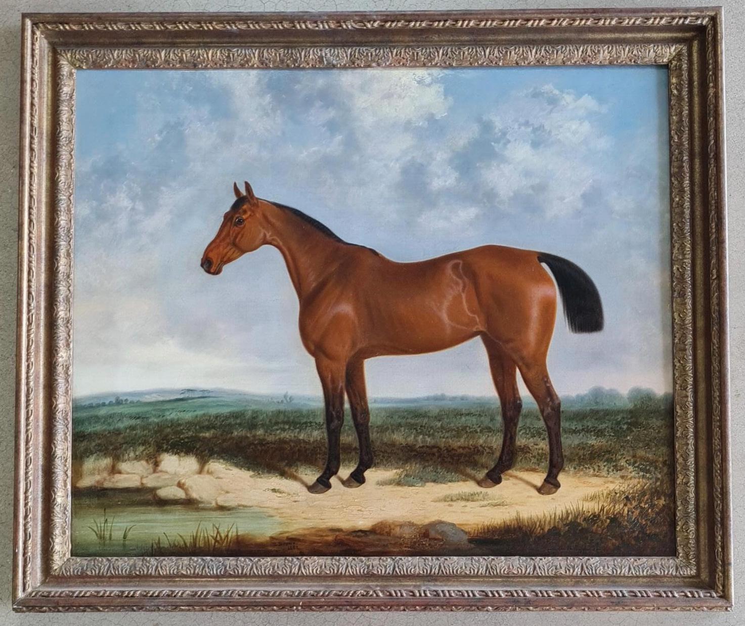 A bay horse in a coastal landscape - Painting by Edwin Brown