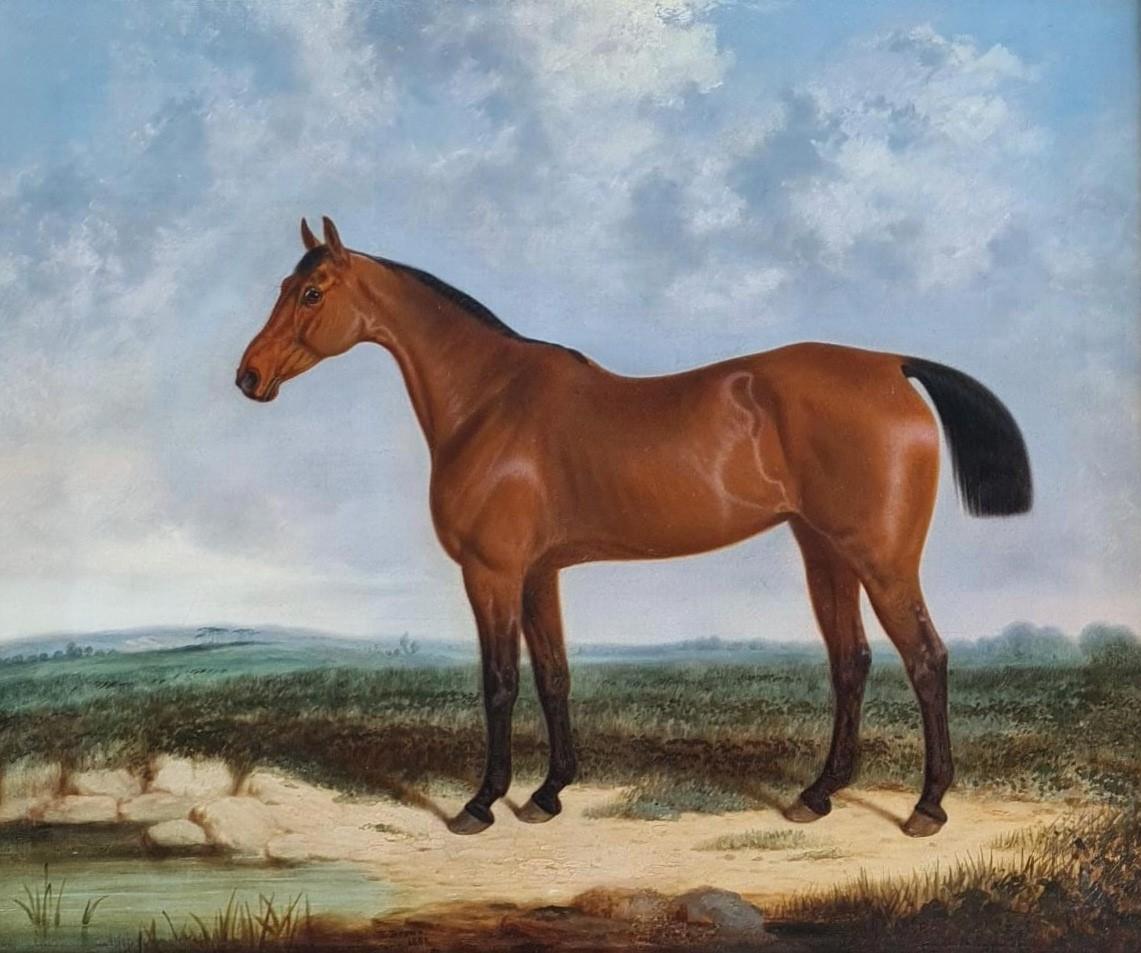 Edwin Brown Portrait Painting - A bay horse in a coastal landscape