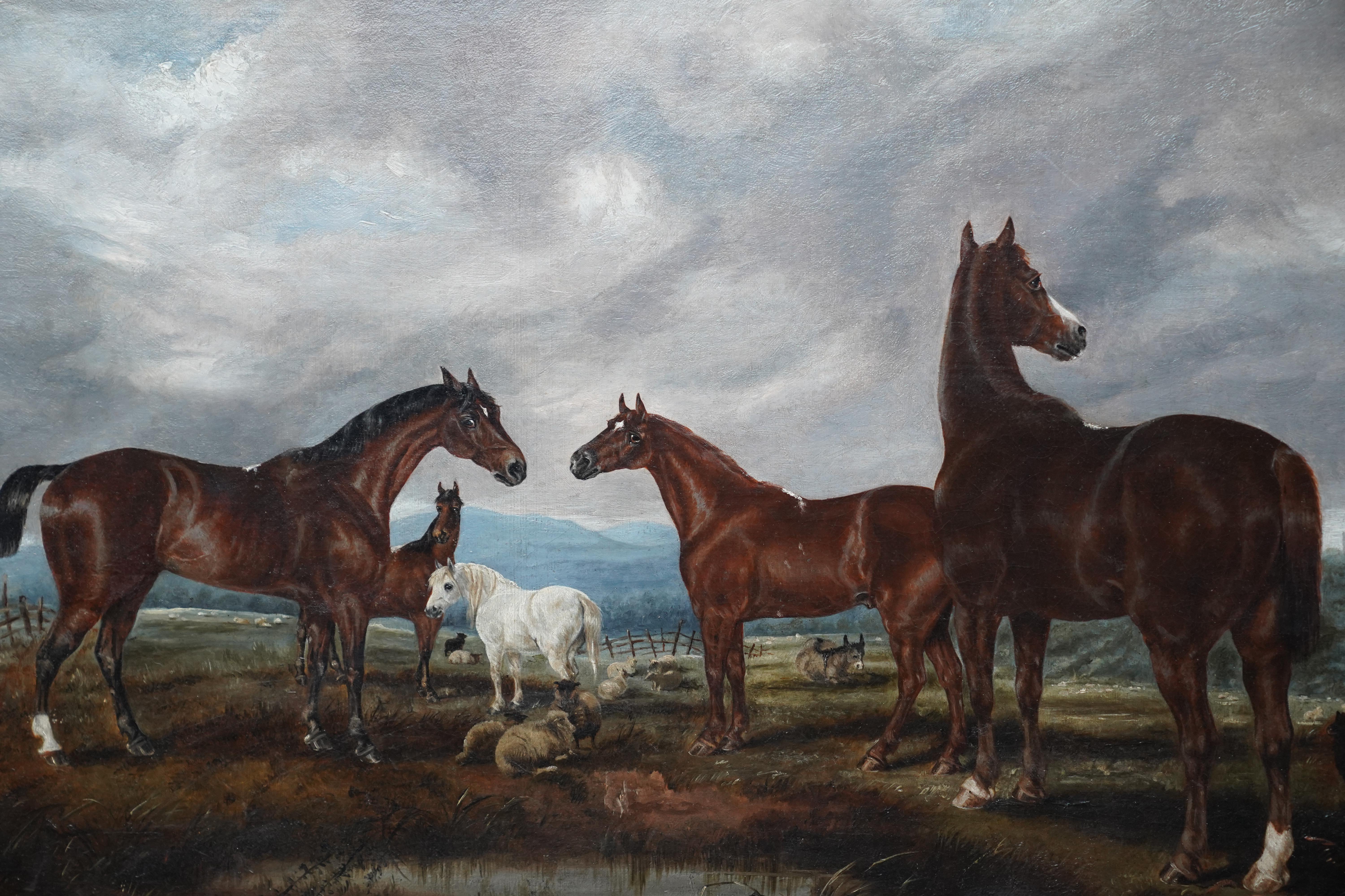 This lovely British Victorian oil on canvas on board painting is by noted animal artist Edwin Brown. Painted circa 1880 the composition is of several beautiful horses in the foreground along with sheep. Brown has perfectly captured their anatomy and