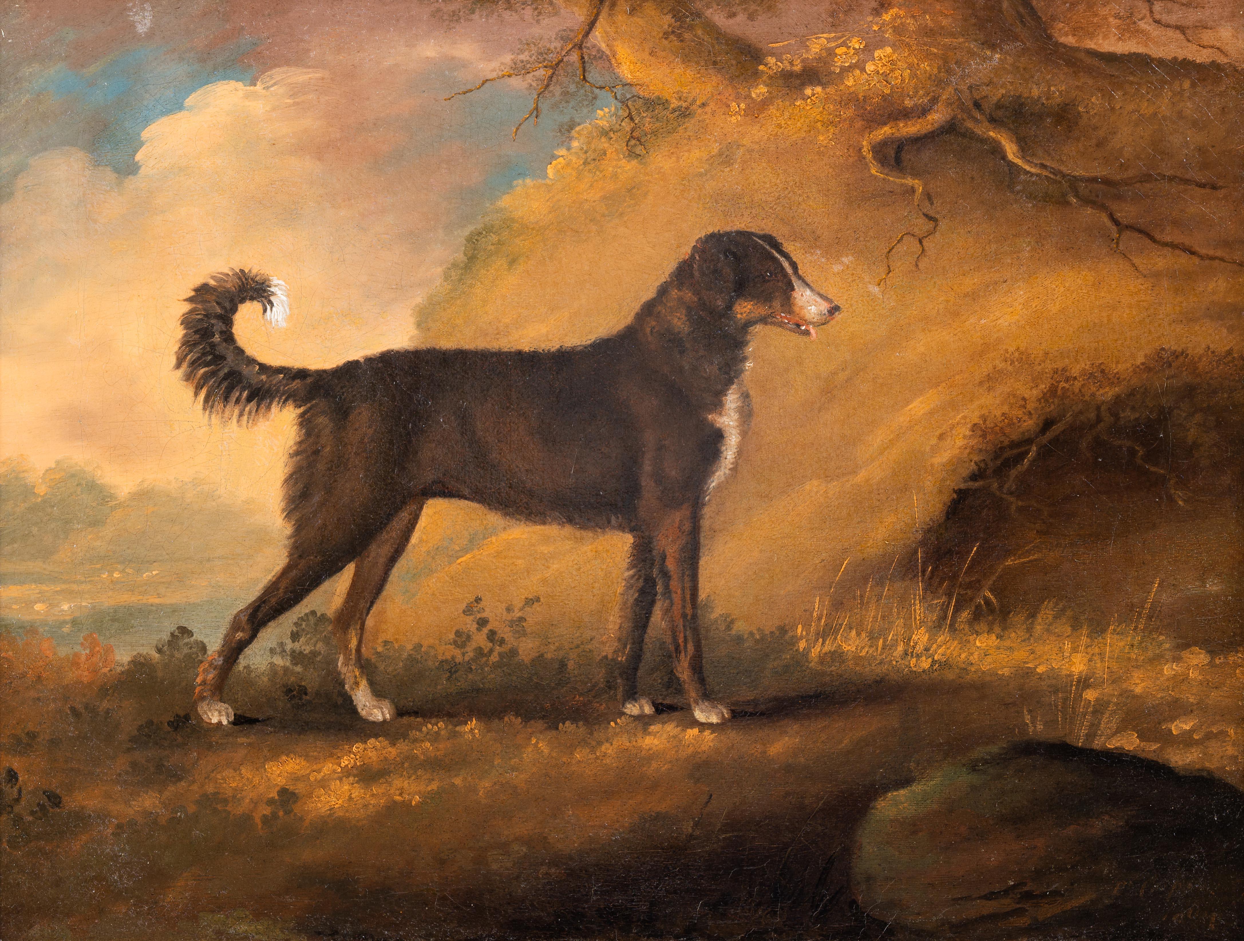 Ein Lurcher in einer Landschaft – Painting von Edwin Cooper