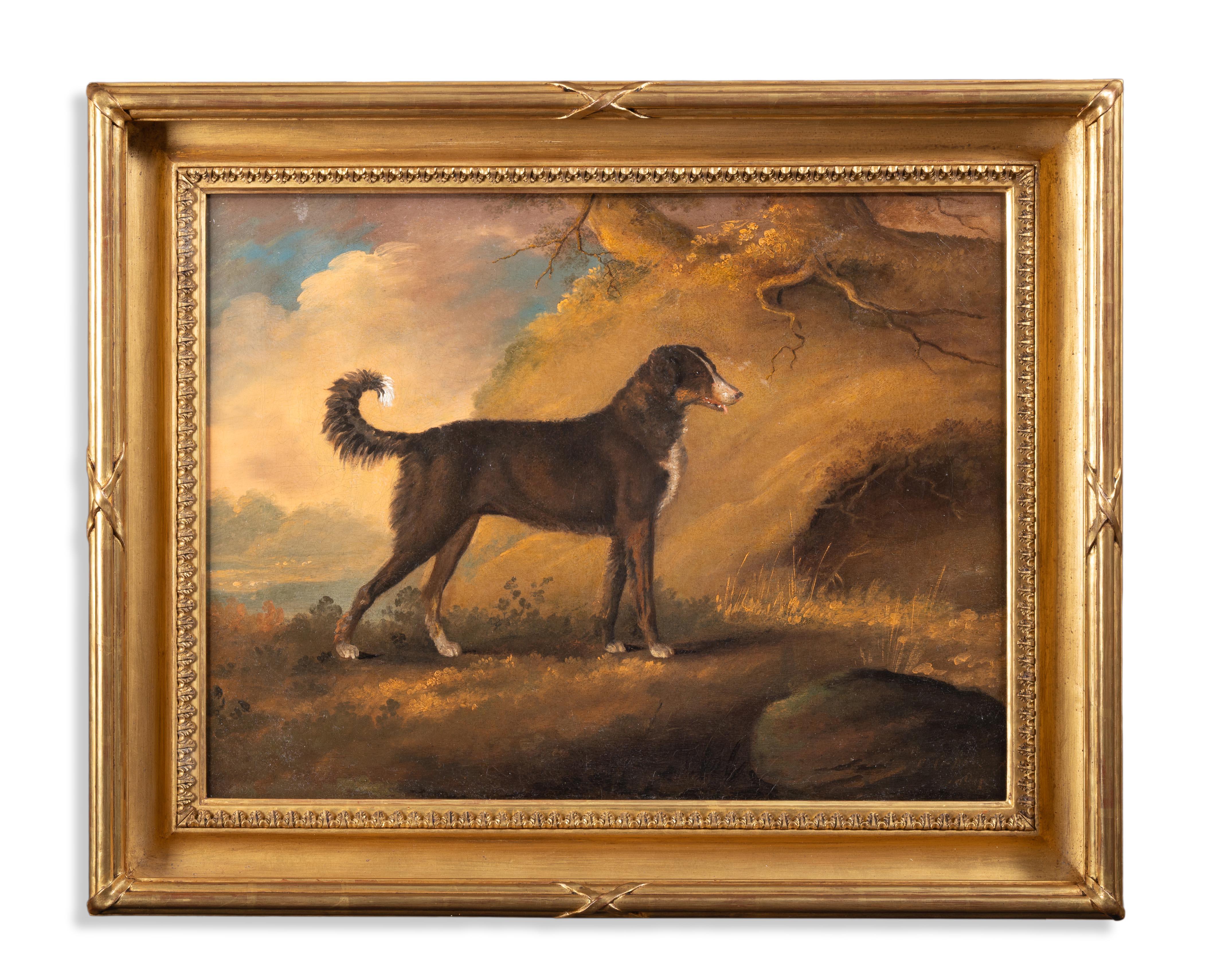 Edwin Cooper Animal Painting – Ein Lurcher in einer Landschaft