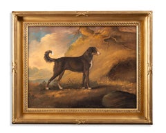 Ein Lurcher in einer Landschaft