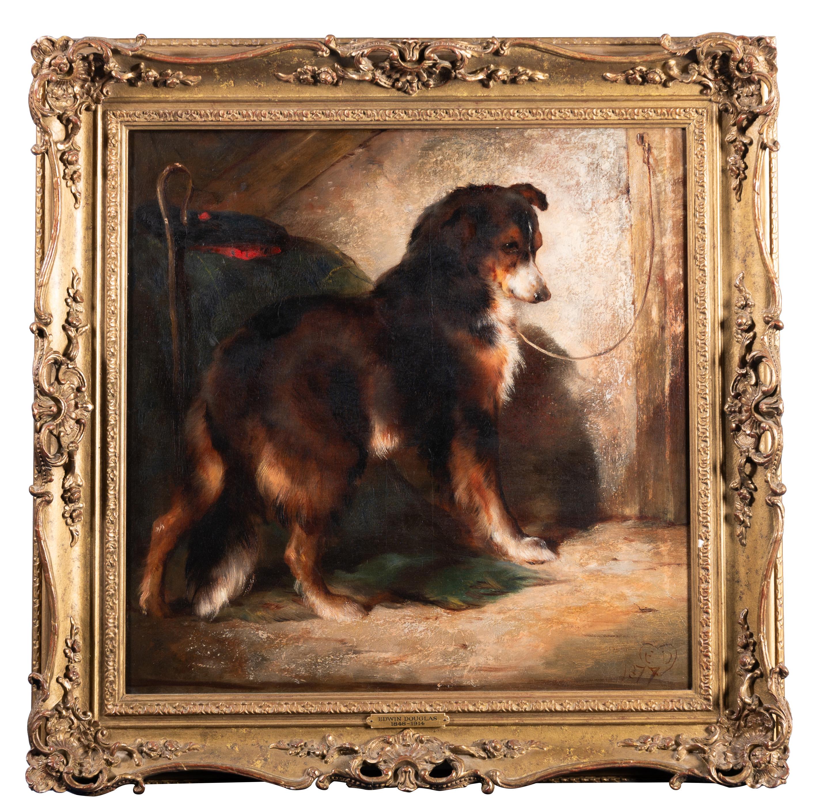 Animal Painting de Edwin Douglas - El Collie del Pastor