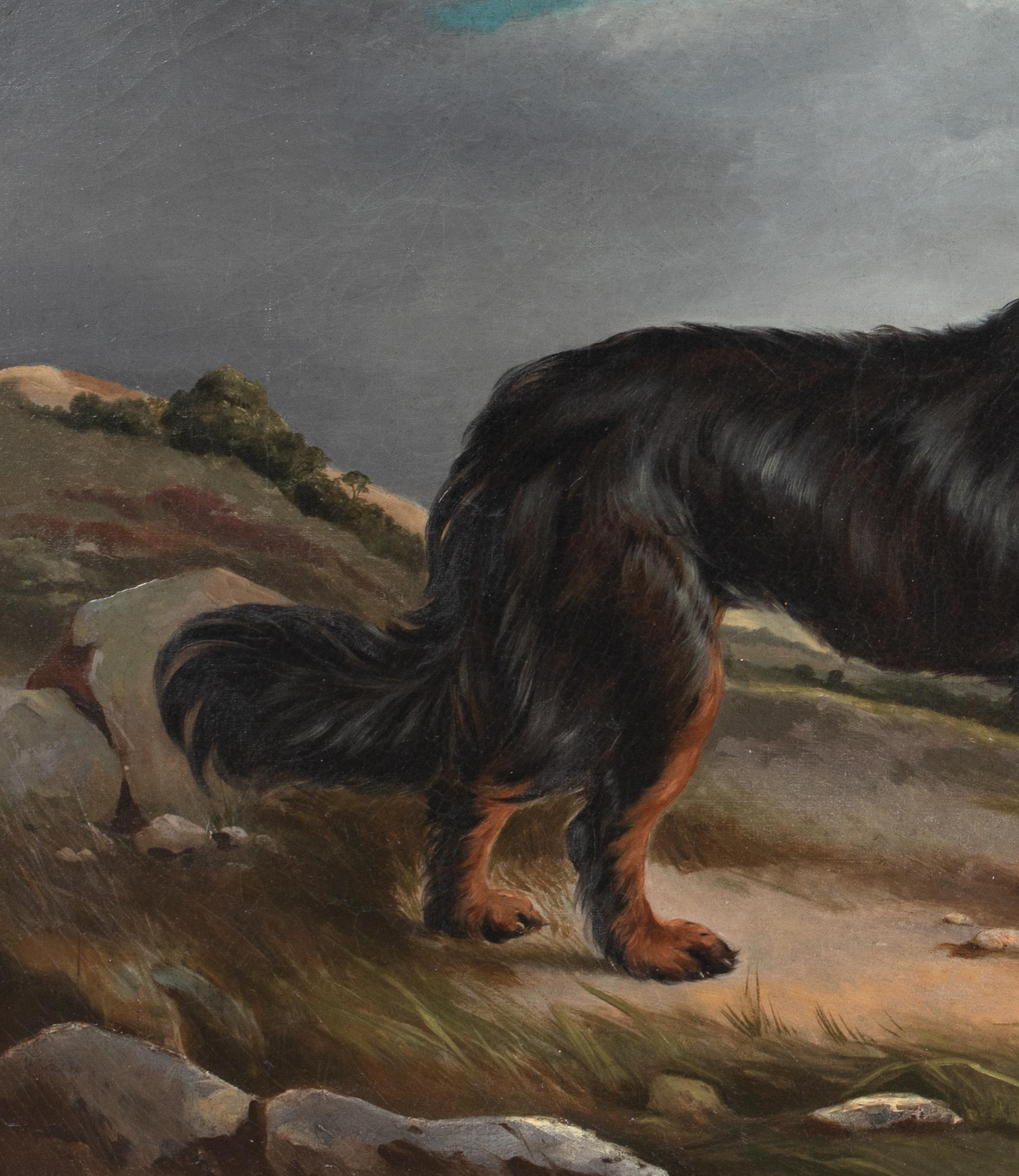 Black & Tan Border Collie In The Highlands, 19th Century 

circle of Sir Edwin Henry Landseer (1802-1873)

Large 19th Century English portrait of a black and tan border collie, oil on canvas. Good quality and condition similar to the works of
